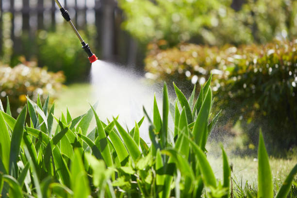 Tamper-Resistant Bait Stations for Rodents in Fern Park
