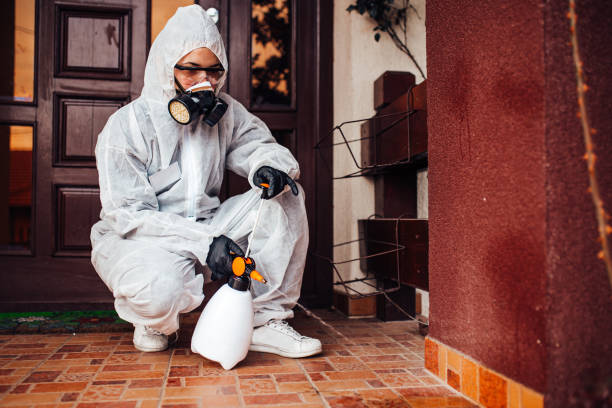 Attic and Crawl Space Rodent Treatment in Fern Park